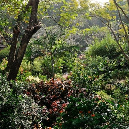 Gaia's Garden Guest House Auroville Exterior foto