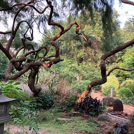Gaia's Garden Guest House Auroville Exterior foto