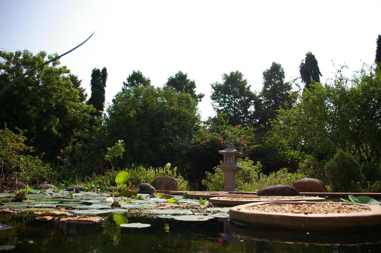 Gaia's Garden Guest House Auroville Exterior foto