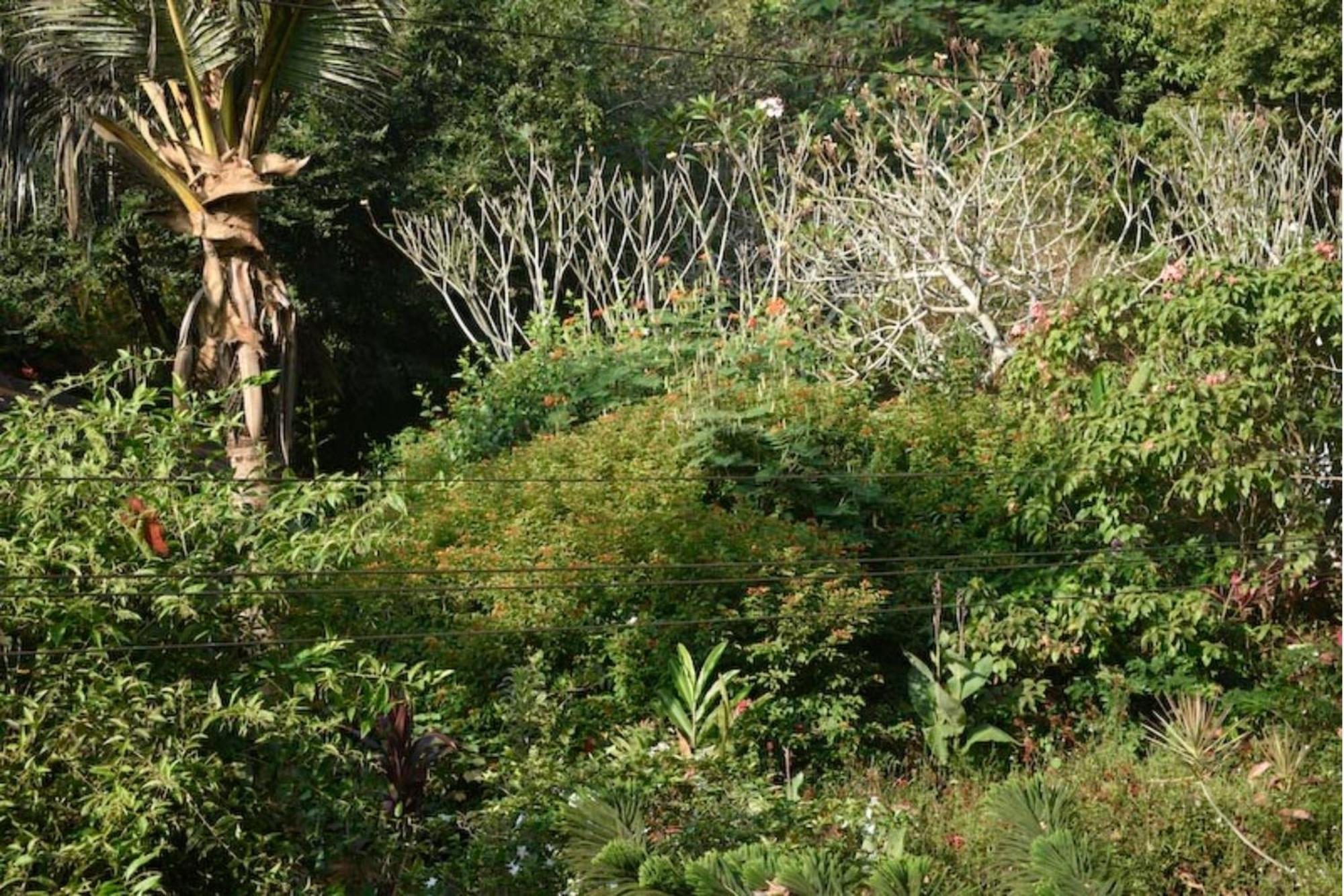 Gaia's Garden Guest House Auroville Exterior foto
