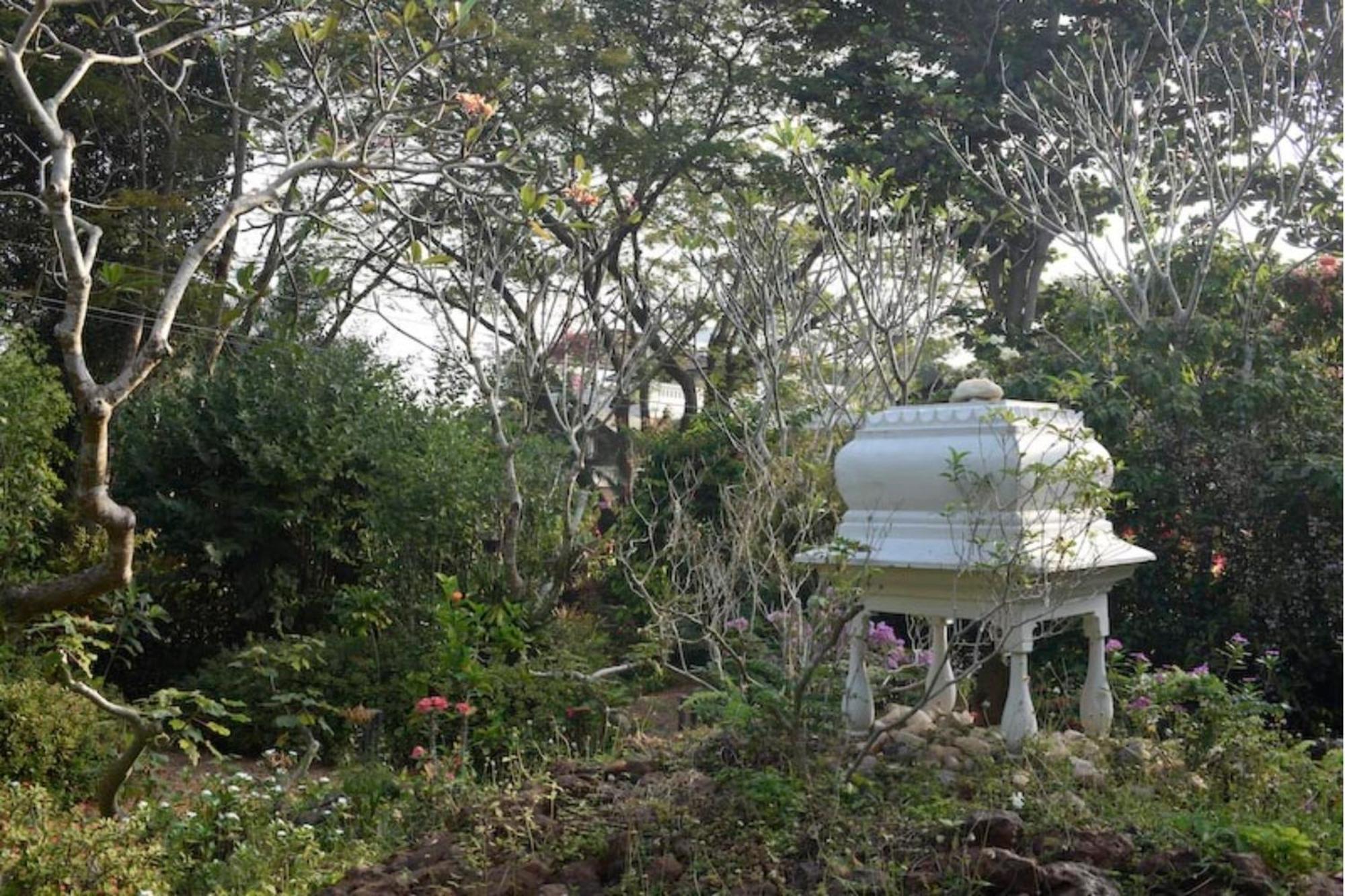 Gaia's Garden Guest House Auroville Exterior foto